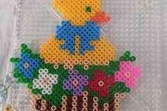 Zsofika4-scaled